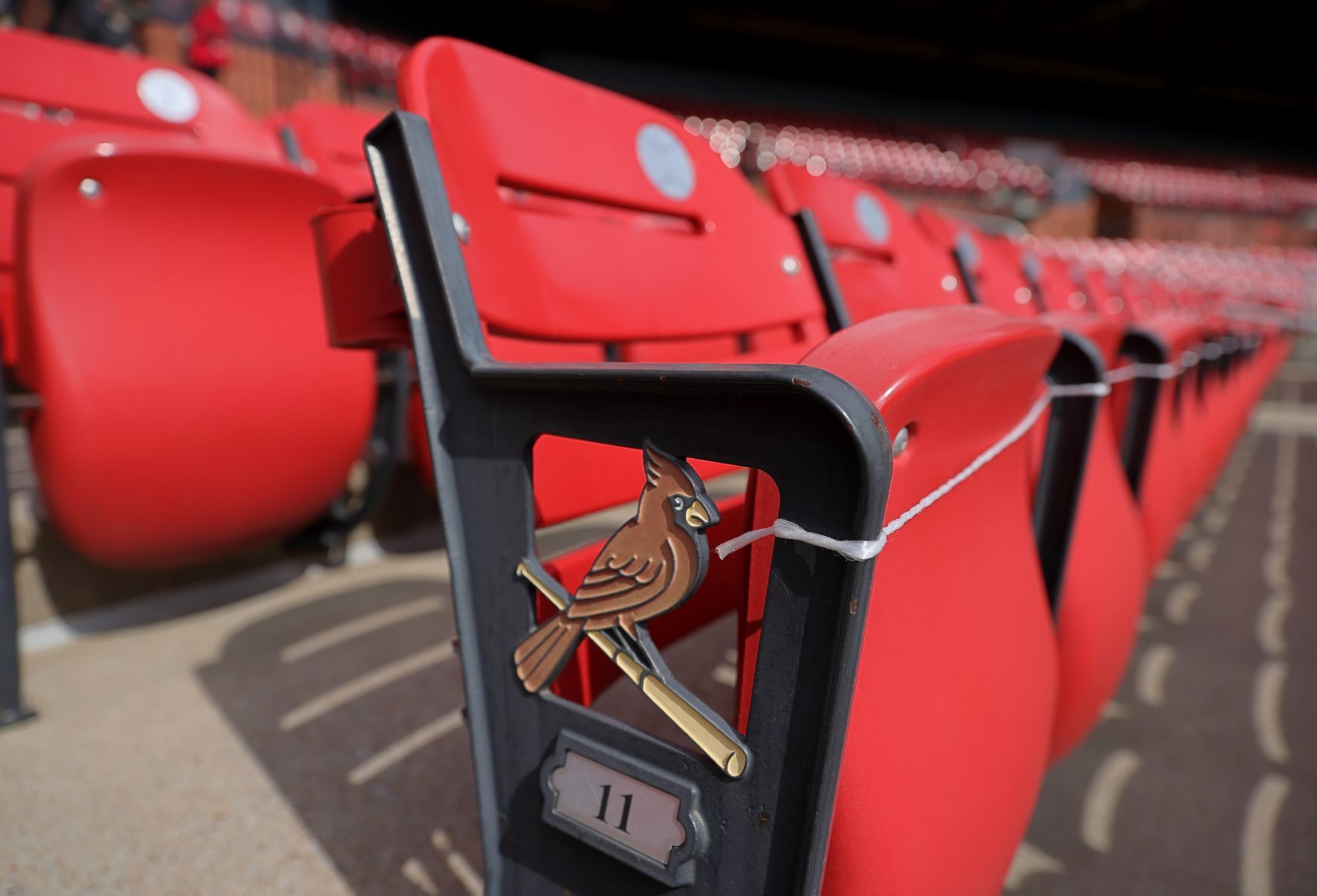 St. Louis Cardinals Busch Stadium 2021 season, emerging from COVID pandemic